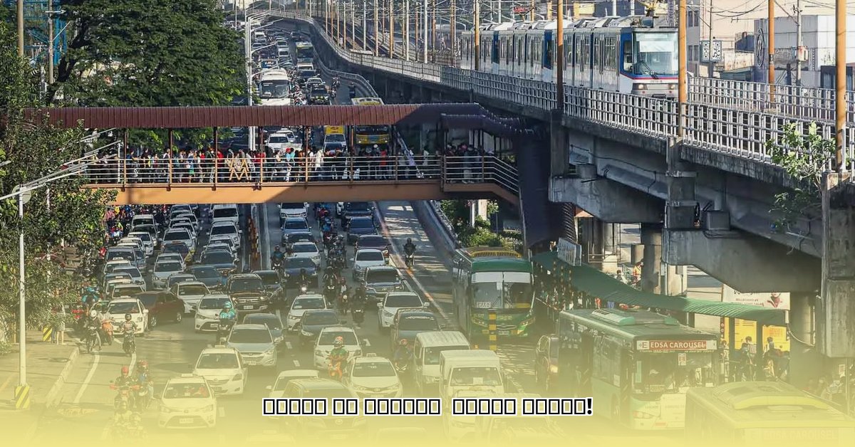 traffic-accident-management